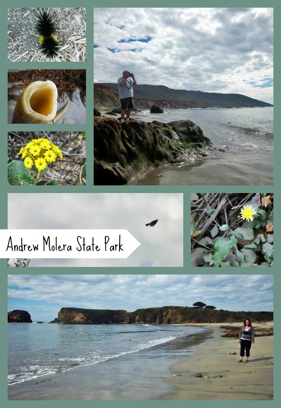 Beach Trail, Andrew Molera State Park