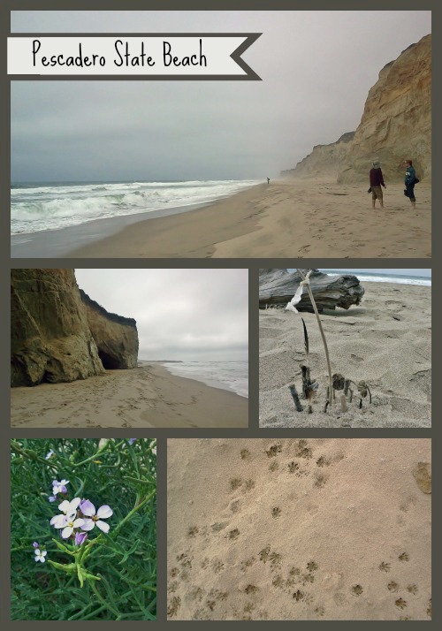 Pescadero State Beach