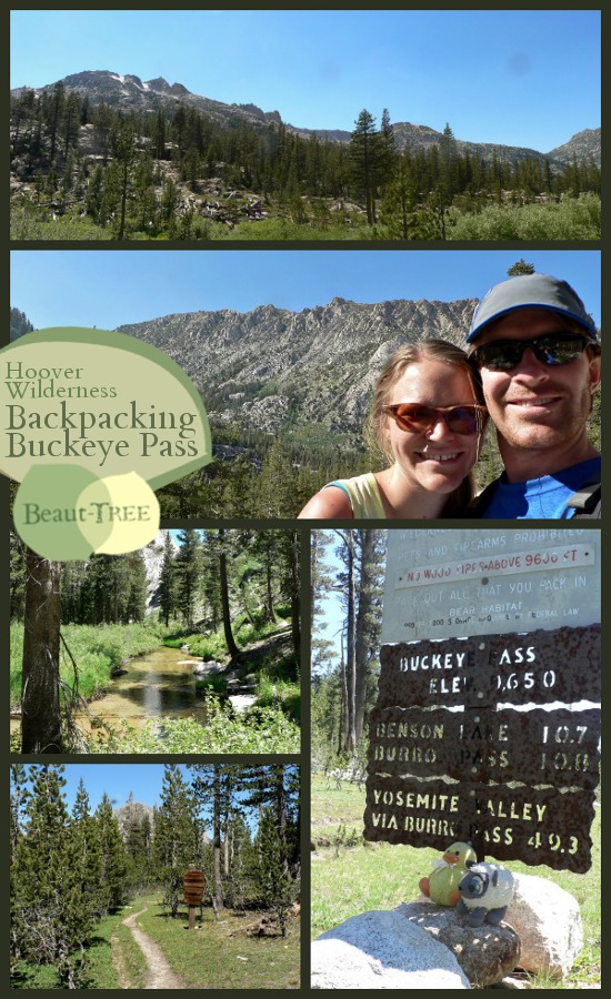 Backpacking the isolated Northeast corner of Yosemite, Via Buckeye and the Hoover Wilderness