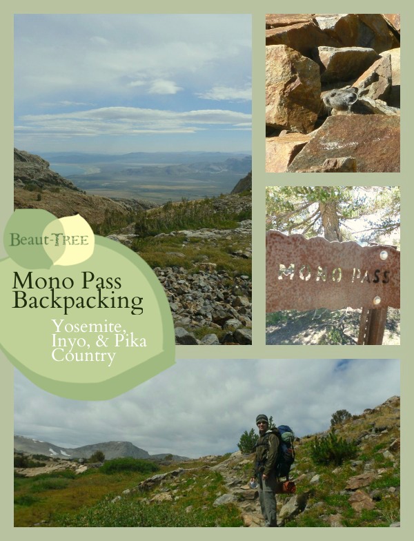Mono Pass Backpacking