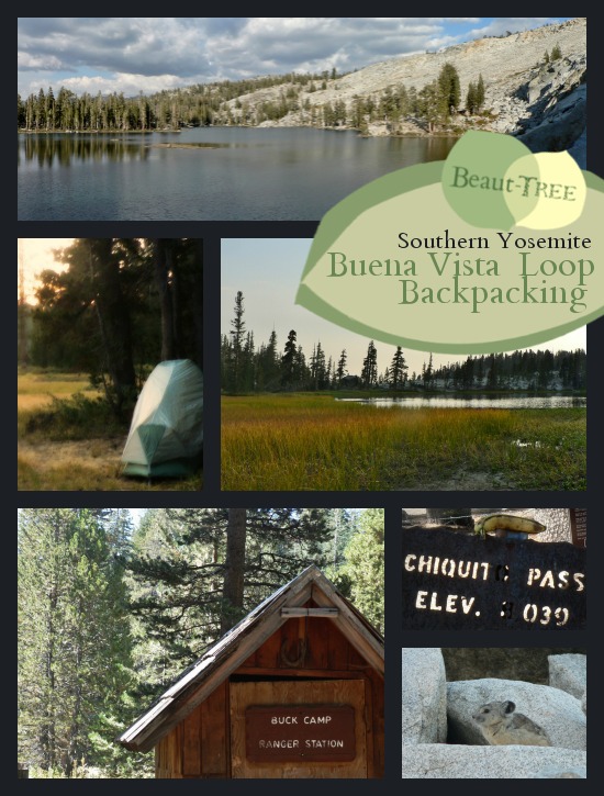 Backpacking Buena Vista Lake via Chiquito Pass, Southern Yosemite