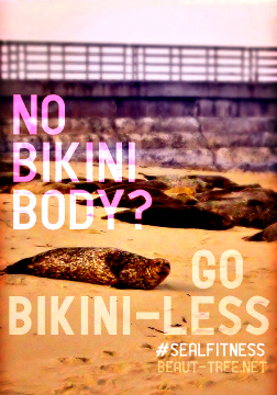 No Bikini Body? Go No Bikni-Less #SealFitness