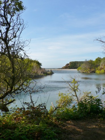 Mouth of the Big Sur River