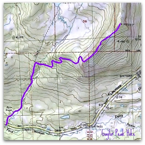 Yosemite Gaylor Peak Hike Map