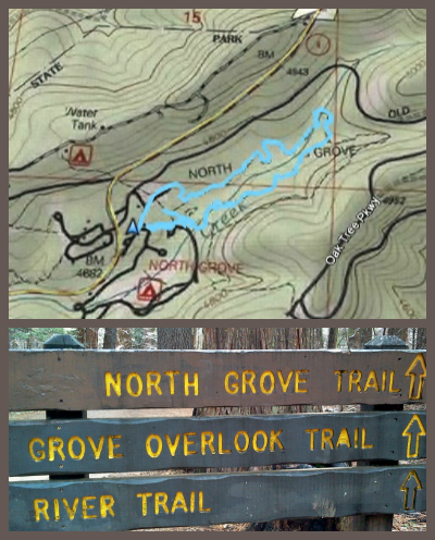 Big Trees North Grove Trail Map