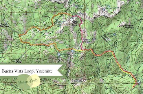 Buena Vista Loop Topo Map