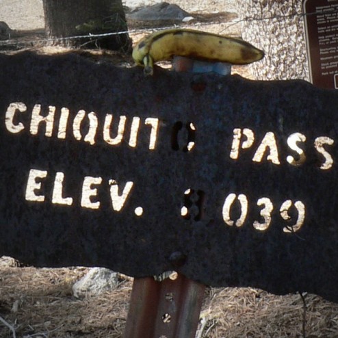 Chiquito Pass, Yosemite and Sierra National Forest