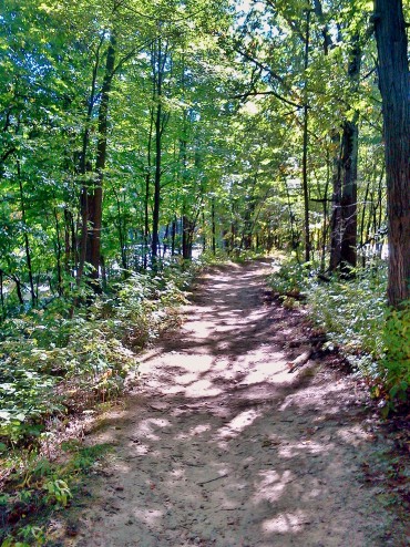 Deciduous Trail