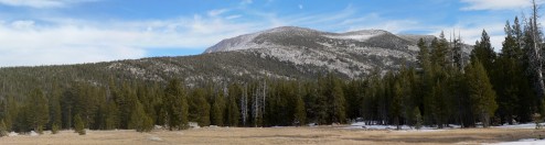 Meadow view from Lyell Canyon, Yosemite