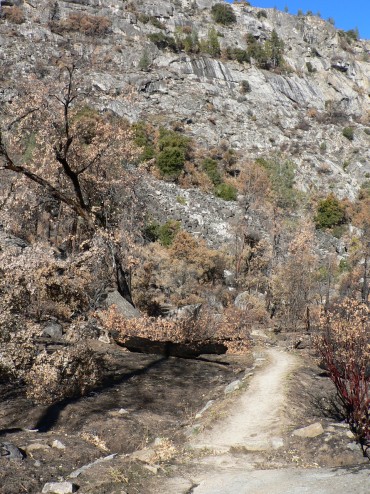 Hiking within the Rim Fire