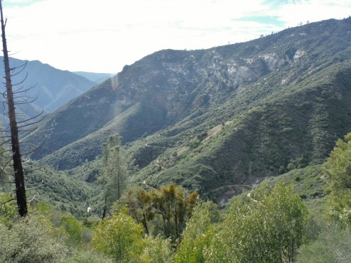 Foresta Road - open for mountain bikers from Yosemite to El Portal