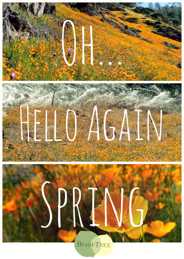 Oh Hello Again Spring