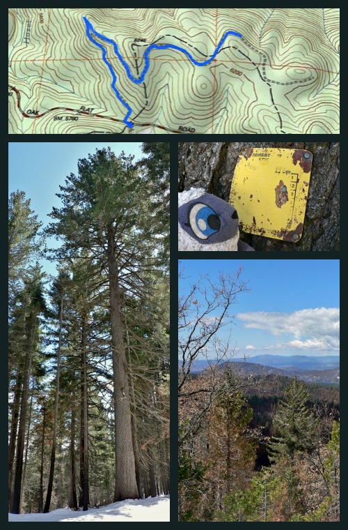 Map of Rockefeller Grove of Sugar Pines, Yosemite