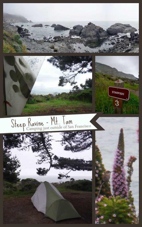 Steep Ravine, Mount Tamalpais  (North San Francisco) - My personal favorite campground in California. YOU SHOULD GO.