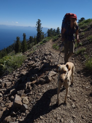 TRT Thru-hiking Dog