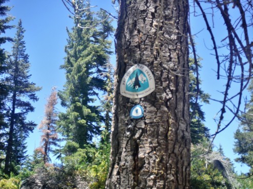 Big PCT sign, baby TRT sign