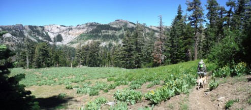 Hiking the Tahoe Rim Trail towatds Ward Creek