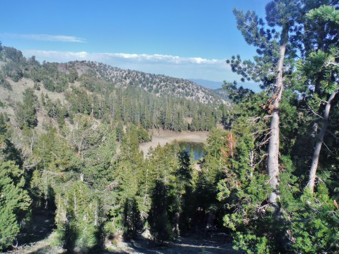 Mud Lake, a lonely water source on the Tahoe Rim Trail