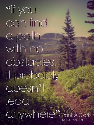 “If you can find a path with no obstacles, it probably doesn't lead anywhere.”  - Frank A. Clark