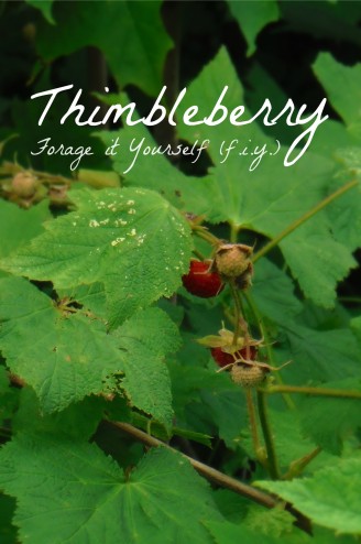 Thimbleberry FIY (Forage It Yourself)