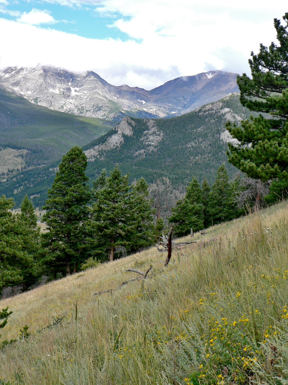 Trail up to Deer Mountain, RMNP