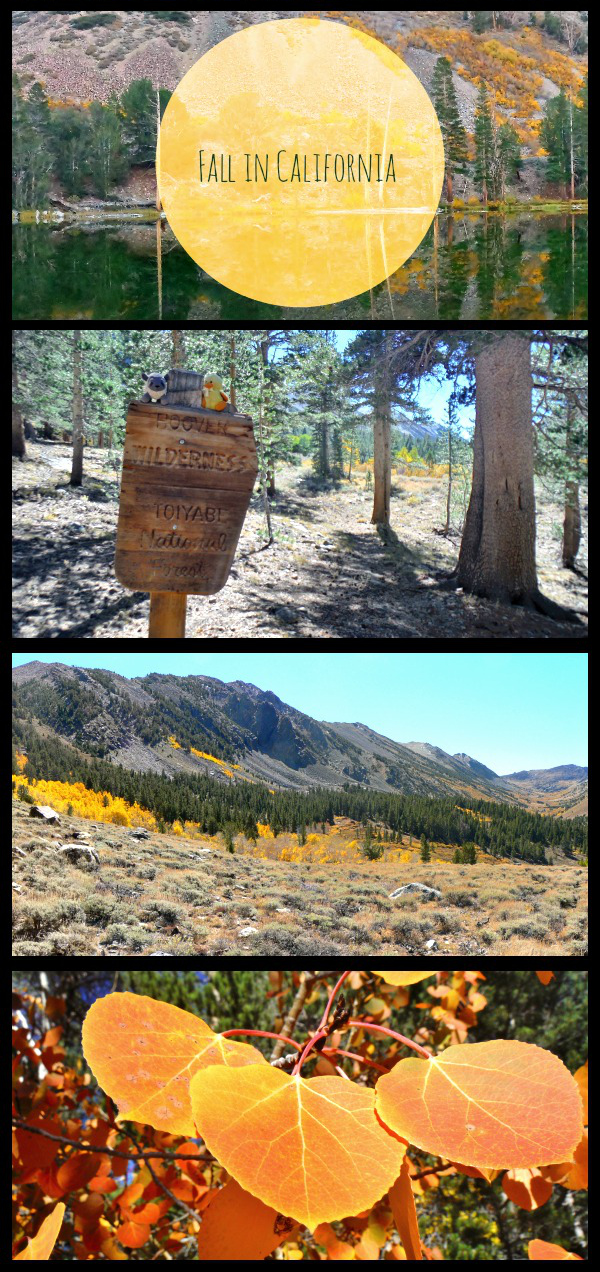 Backpacking trip to see the California Fall Colors in the Hoover Wilderness. 