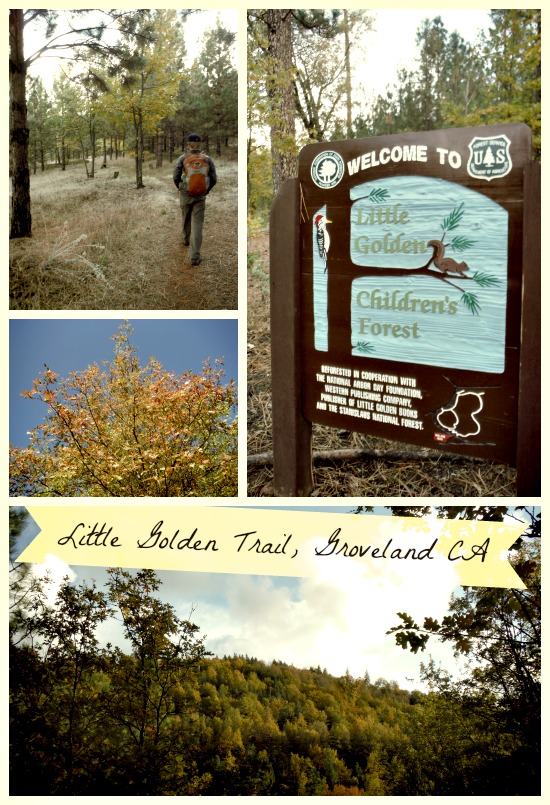 Little Golden Trail, Groveland CA
