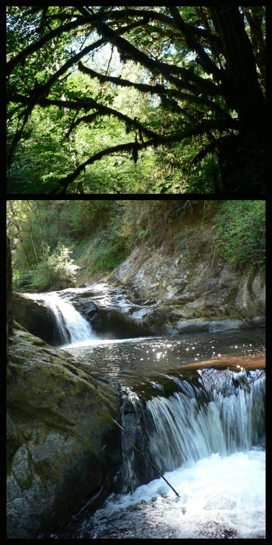 Sweet Creek Falls, Oregon