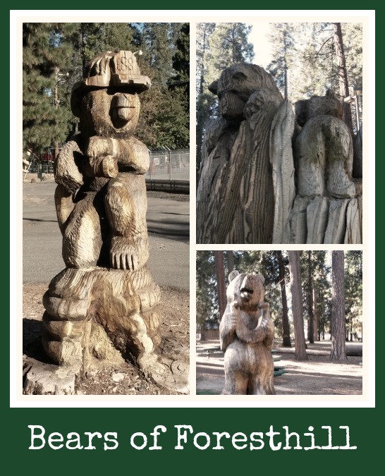 Roadside Attraction: The Bears of foresthill, CA