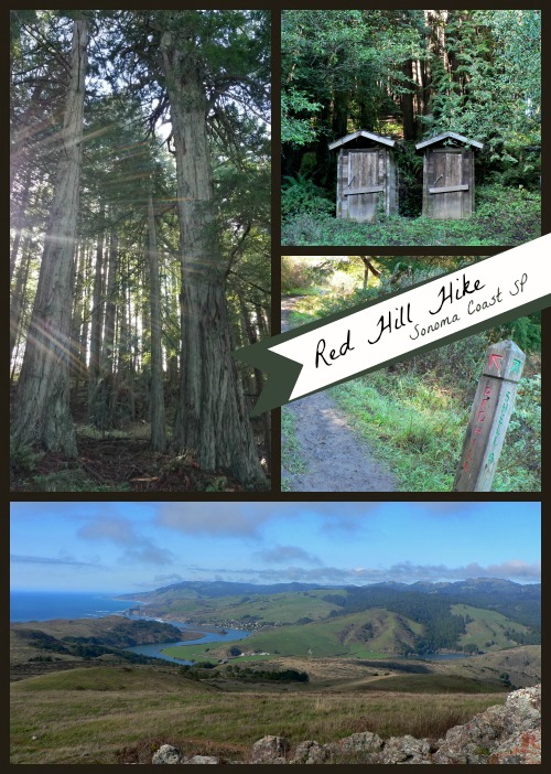 Hiking Red Hill from Pomo Canyon, Sonoma State Park