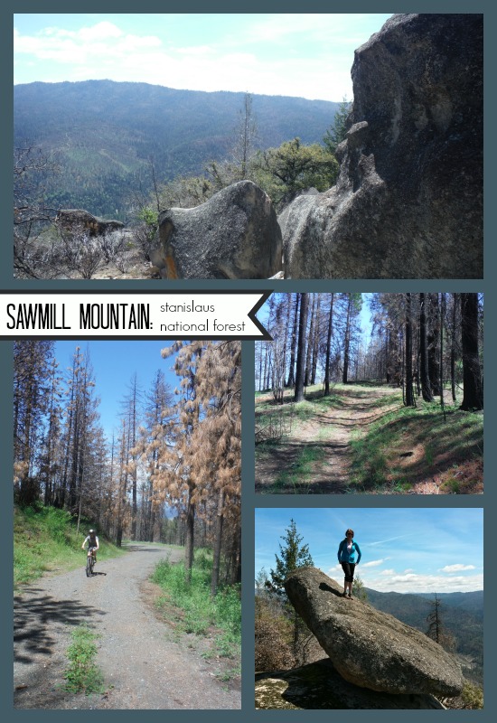 Sawmill Mountain, Stanislaus National Forest CA
