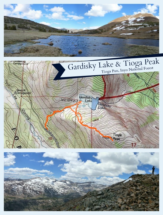 Gardisky Lake and Tioga Peak Topo Map