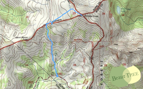 Sonora Peak Topographic HikeMap