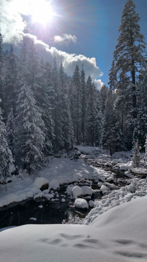 Kaweah River in Winter