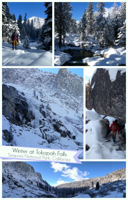 Tokopah Falls in Winter, Sequoia National Park