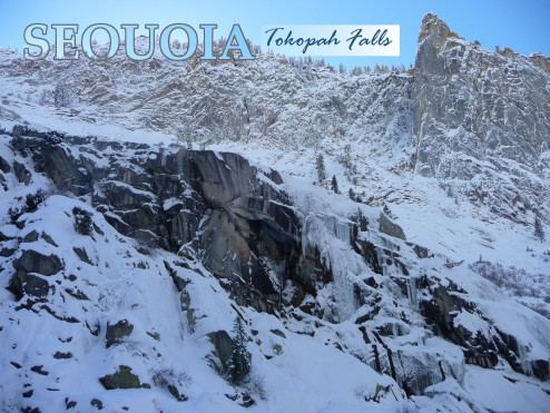 Winter Tokopah Falls Postcard