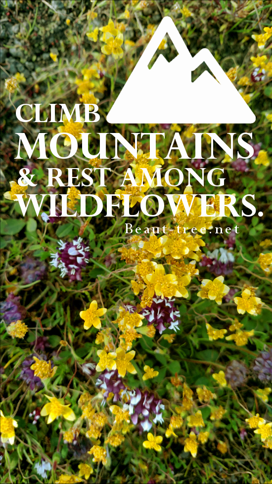 All I want to do is climb mountains and rest among wildflowers