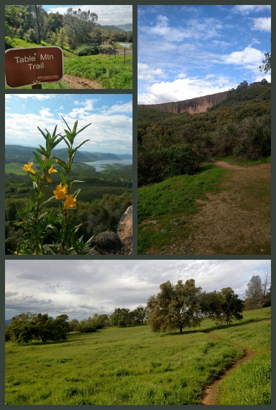 Table Mountain Wildflower hike Near Sonora, CA