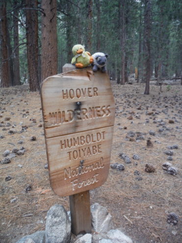 Hoover Wilderness Marker