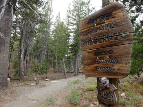 Ansel Adams Wilderness Sign