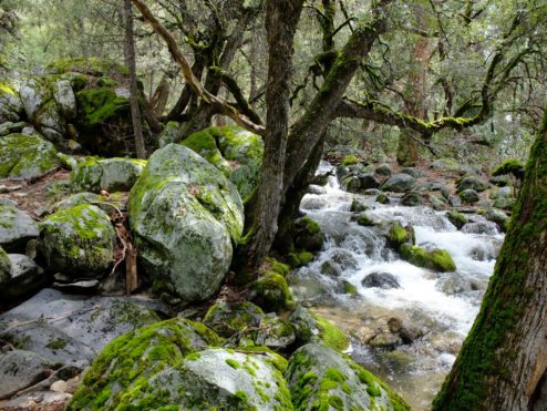 Kibbie Creek Falls