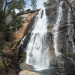 Foresta Falls