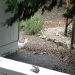 Albino deer behind our garage, I believe at one time someone in the hood said her name was \"Ghost\"