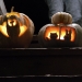 Our Pumpkins! Curtis made the bat and I made the bunny/kitten pumpkin