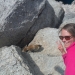 These marmots were very persistent