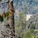 Distant and obsucred View of Hetch Hetchy from the trail