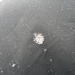 August Rocky Mountian Snowflake