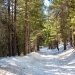 Merced Grove Trail