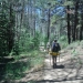 Trail down to Spooner Lake through an aspen grove