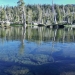 Middle Velma Lake
